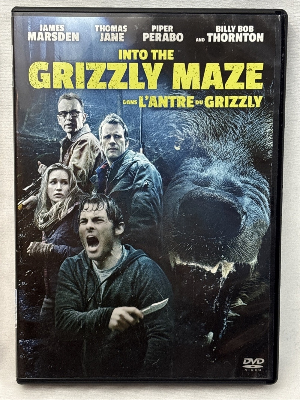 Into the Grizzly Maze DVD Tested